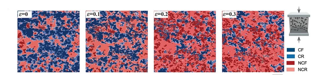 Open access visualization of Microscopy, Microscopic Conductive Structure, Compressive Strain, CB-37.5 wt %/IR