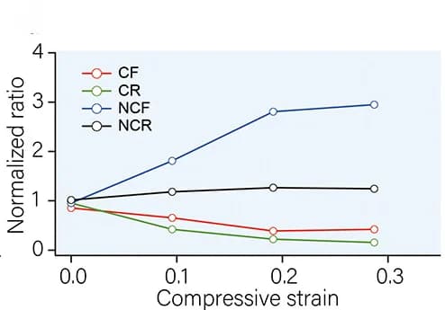 Open access visualization of Line Plot, Normalized Content Ratios, CF, NCF, CR