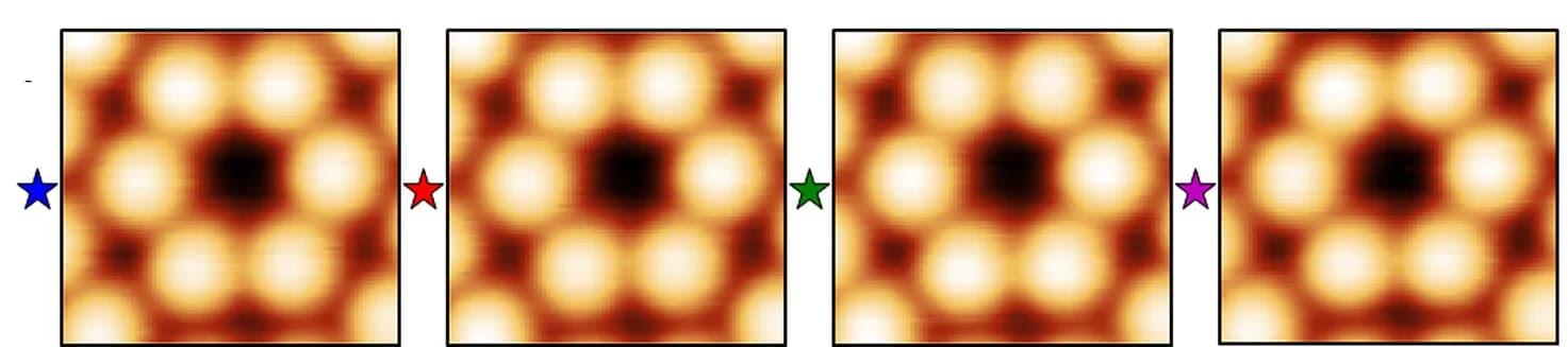 Open access visualization of Microscopy, Correlated Positions