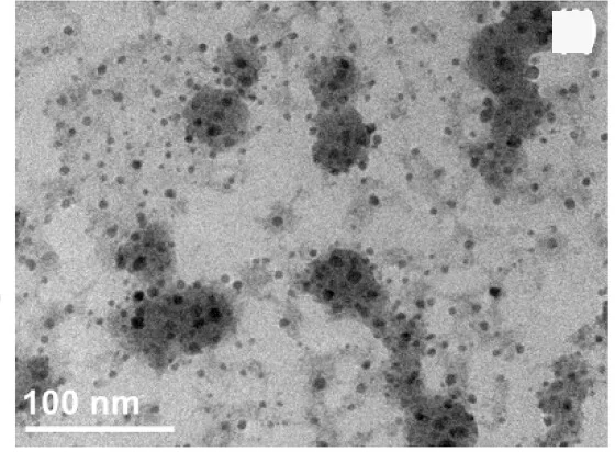 Open access visualization of Microscopy, TEM Micrographs, Arg-CQDs