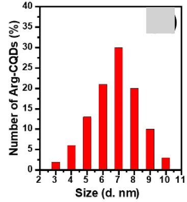 Open access visualization of Histogram, Particle Size Histograms, Arg-CQDs
