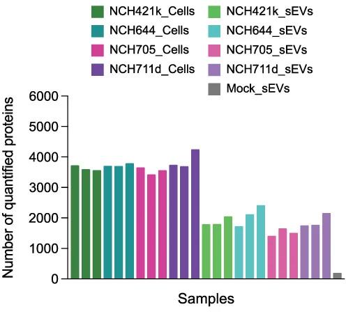 Open access visualization of Bar Plot, Bar Graph, Proteins, sEVs