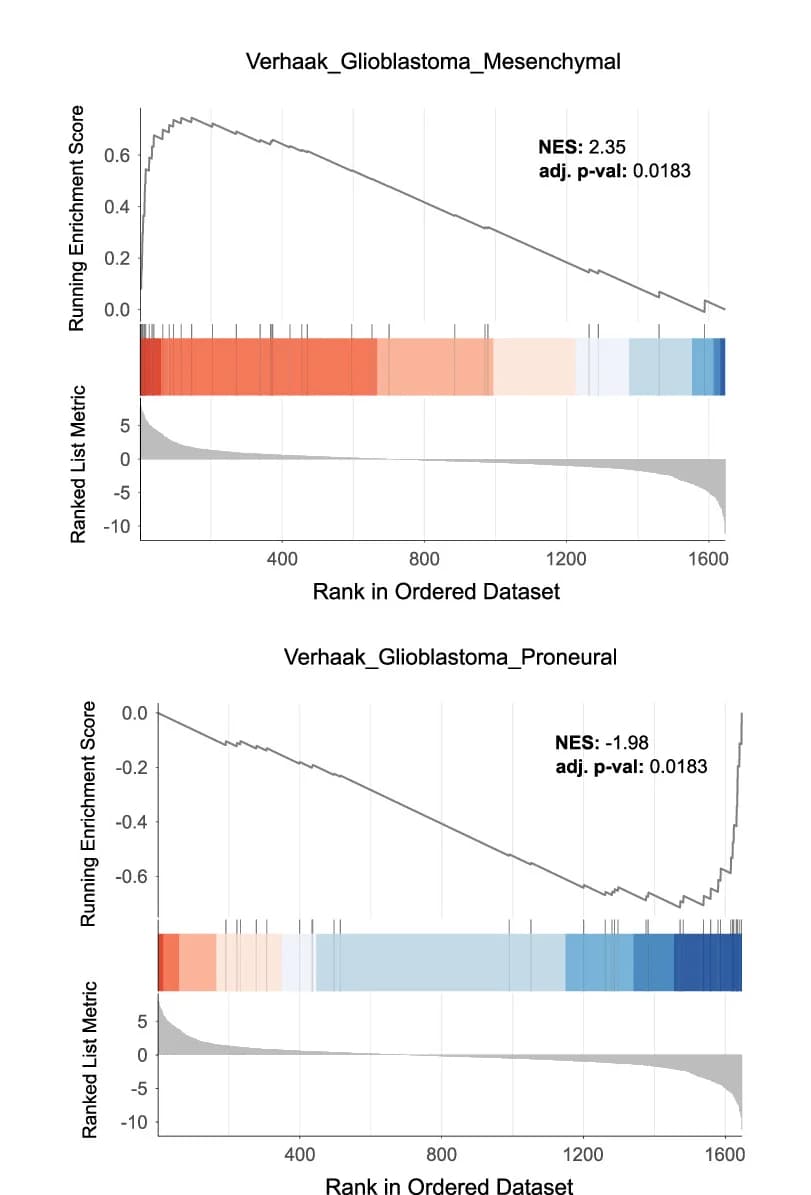 Open access visualization of Line Plot, Density Plot, Gene Set Enrichment Analysis, Proteins, MES sEVs