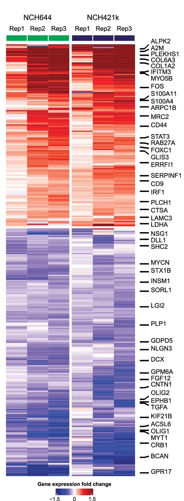 Open access visualization of Heatmap, RNA Sequencing, PN GSCs, MES-CM, Gene Expression