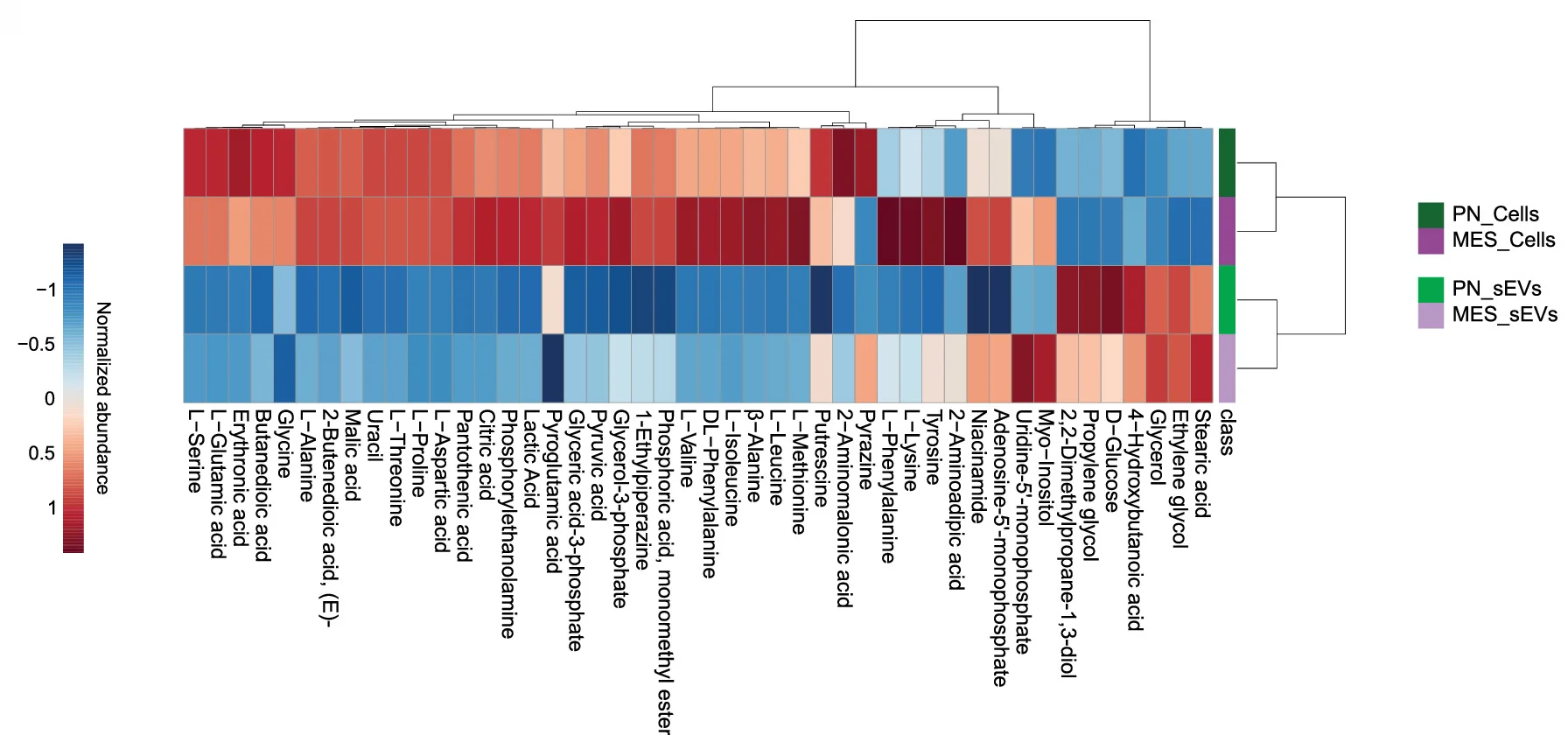 Open access visualization of Heatmap, Clustered, Hierarchical Clustering Heatmap, Metabolites, PN Cells