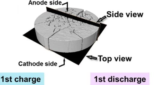 Open access visualization of 3D Plot, 3D Rendered Volume, LPS Pellet