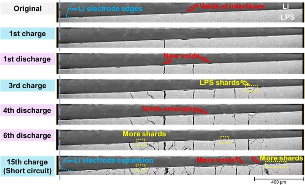 Open access visualization of Microscopy, LPS Pellet, Anode Lithium Electrode, Cycling