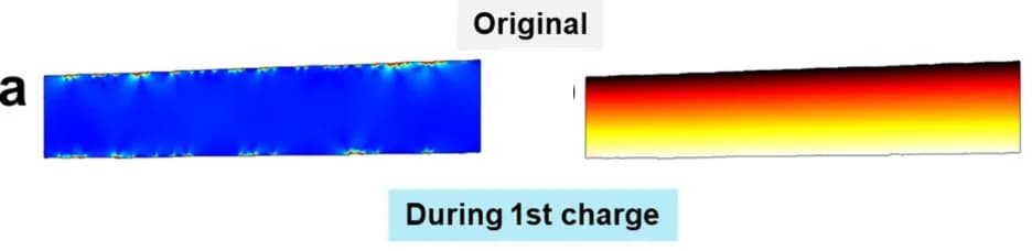 Open access visualization of Heatmap, Electric Potential, LPS Pellet