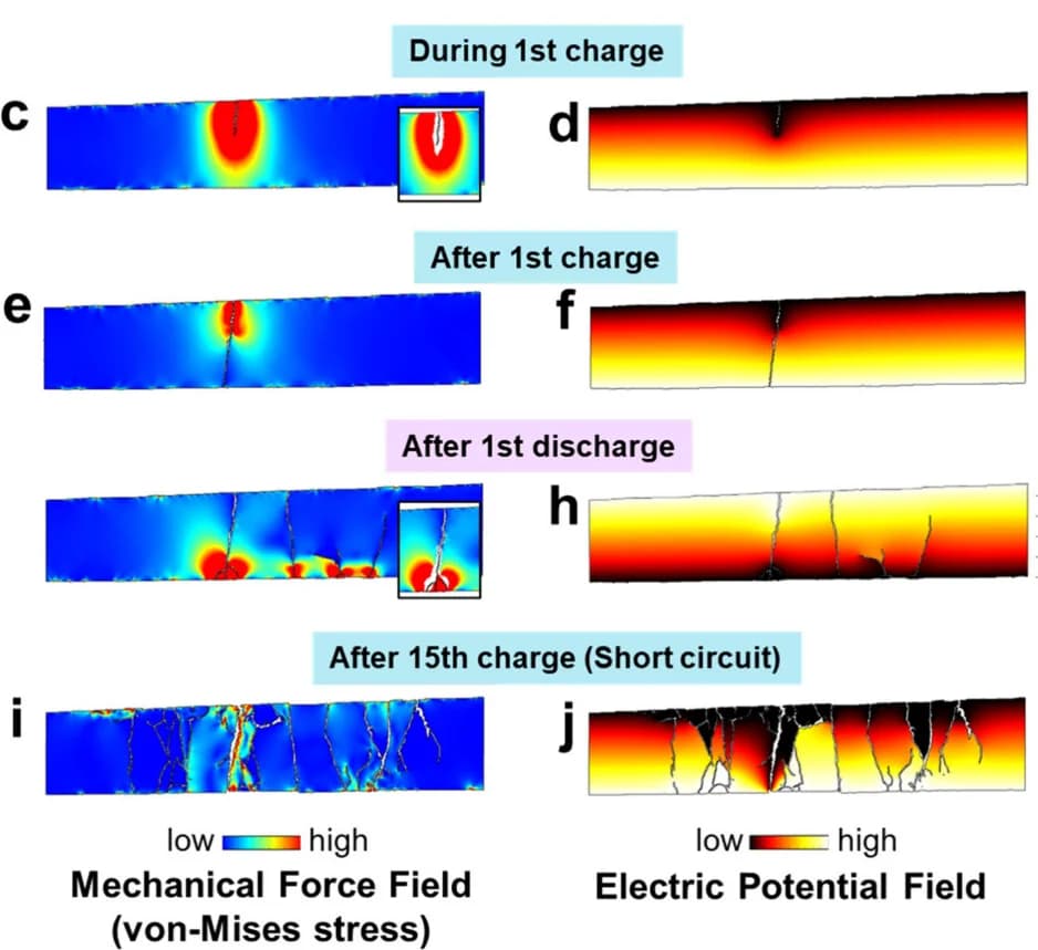 Open access visualization of Heatmap, Mechanical Force, LPS Pellet, Von-Mises Stress