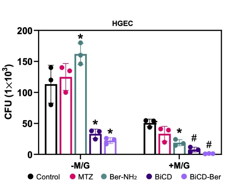 Open access visualization of Bar Plot, Error Bars, Clustered, Live Bacteria, Pg Infection