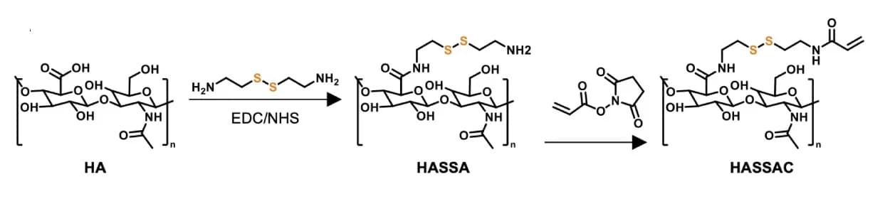 Open access visualization of Workflow, Chemical Structure, Hyaluronic Acid, Disulfide Modification, Acrylation