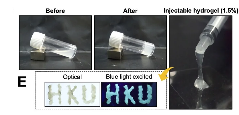 Open access visualization of Photo, HASSAC, Blue-Light Irradiation, Hydrogel Injectability