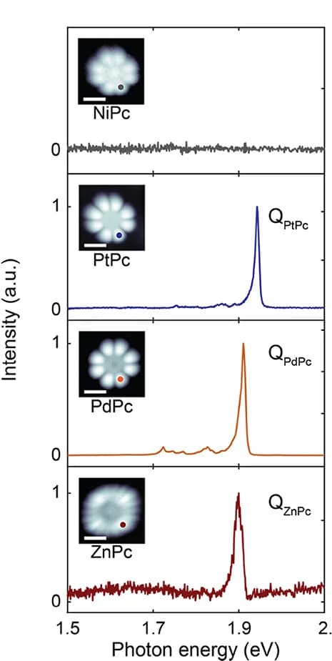 Open access visualization of Line Plot, Microscopy, STML Spectra, NiPc, PtPc
