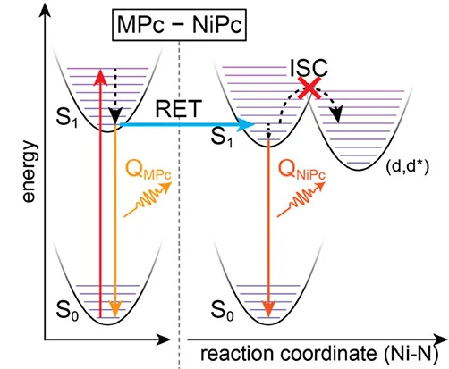 Open access visualization of Workflow, MPc-NiPc Dimer, Potential Energy Diagram, RET, Radiative Decay