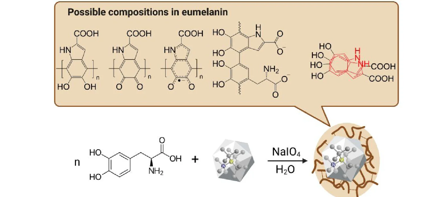 Open access visualization of Chemical Structure, Workflow, RGS-NDs, Synthesis