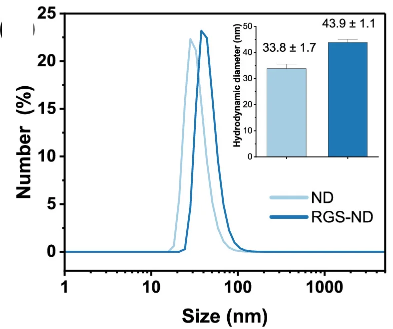 Open access visualization of Line Plot, Bar Plot, Error Bars, Hydrodynamic Diameters, DLS