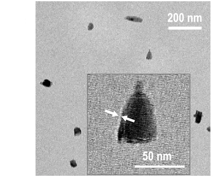 Open access visualization of Microscopy, TEM, RGS-NDs, Eumelanin Layer