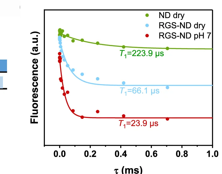Open access visualization of Line Plot, Scatter Plot, Kinetics, Radical Formation, RGS-NDs