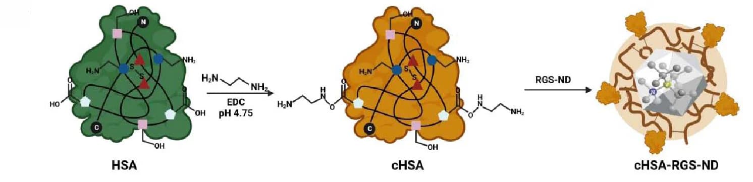 Open access visualization of Workflow, Illustration, Synthesis, cHSA-RGS-ND