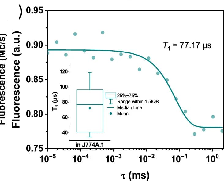 Open access visualization of Line Plot, Scatter Plot, Box Plot, T1 Decay, cHSA-RGS-ND