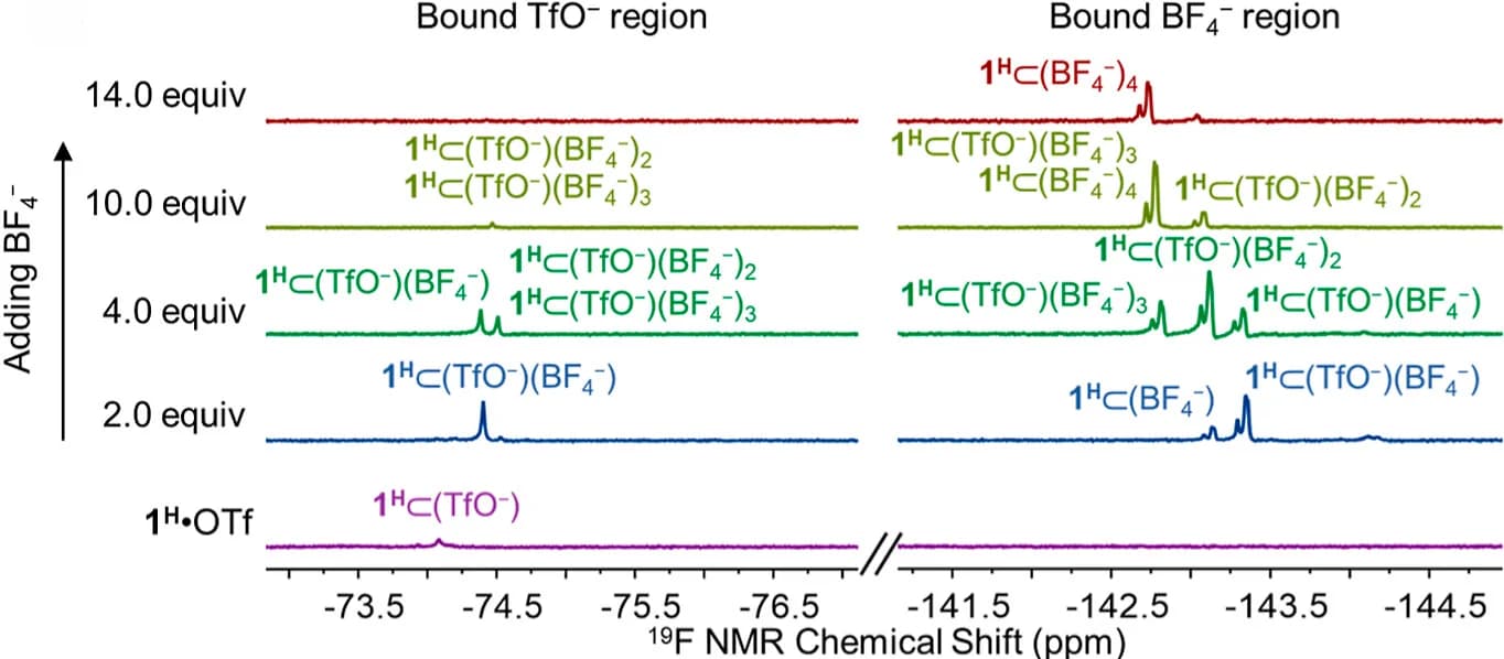 Open access visualization of Line Plot, NMR Spectra, TBABF4, 19F NMR