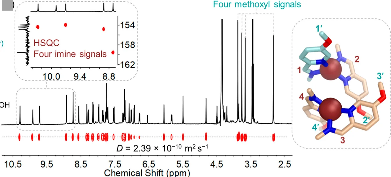 Open access visualization of Line Plot, Scatter Plot, Chemical Structure, 1H NMR, DOSY Spectra