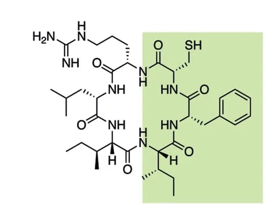 Open access visualization of Chemical Structure, Alanine Scan, IFC Tripeptide, Cyclo-CRLIIF, Binding