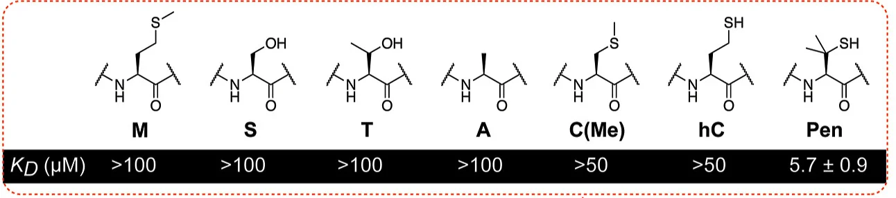 Open access visualization of Chemical Structure, Table Image, Cysteine, Substituents, KD