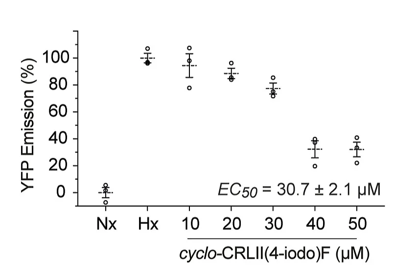 Open access visualization of Scatter Plot, Error Bars, cyclo-CRLII(4-iodo)F, HIF, YFP