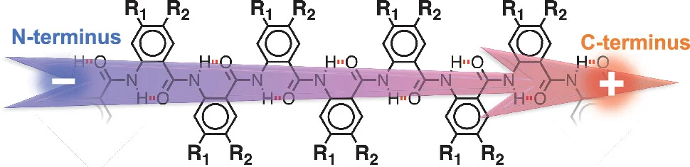 Open access visualization of Chemical Structure, Molecular Electret, Amide Bonds, Polarization, Hydrogen Bonding