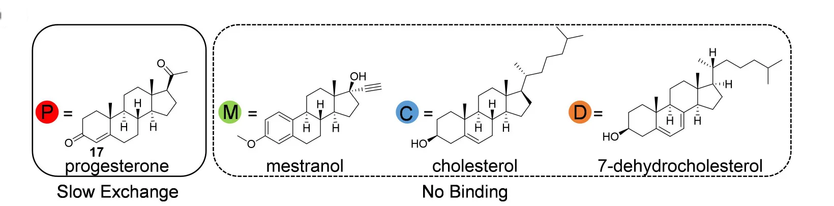 Open access visualization of Chemical Structure, Steroid Guests, Binding, Progesterone, Mestranol