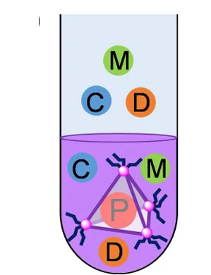 Open access visualization of Illustration, Chemical Structure, Trans-1, CD3CN