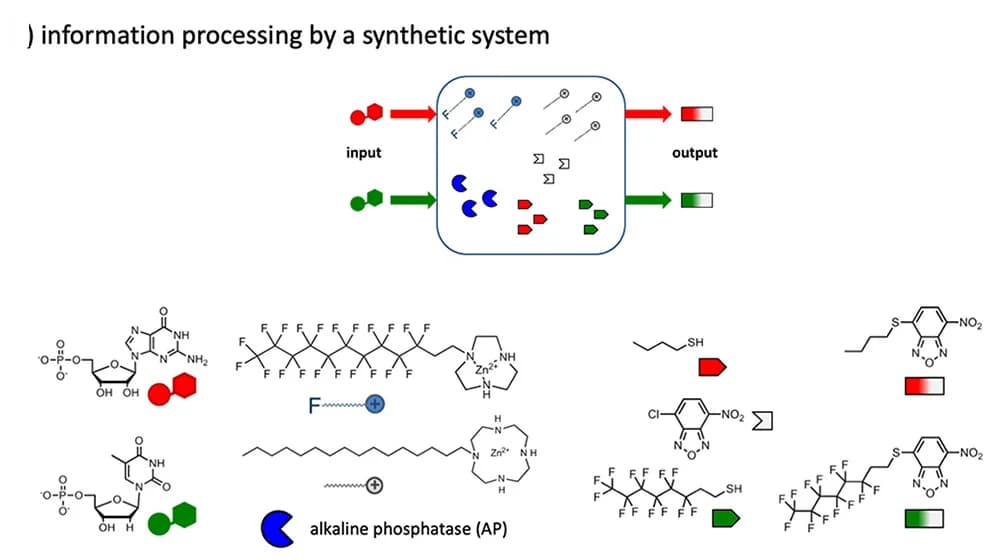 Open access visualization of Workflow, Illustration, Chemical Structure, Chemical Information Processing, Dissipative Synthetic System
