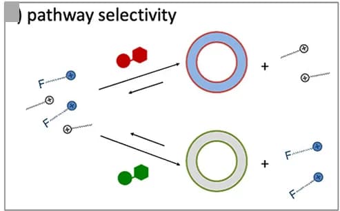 Open access visualization of Workflow, Pathway, Illustration, Pathway Selectivity, Vesicles