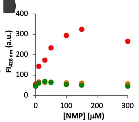 Open access visualization of Scatter Plot, Fluorescence Intensity, NMP Concentration, Surfactant Concentration, DPH