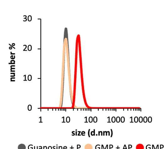 Open access visualization of Line Plot, Density Plot, Size Distribution, Dynamic Light Scattering, C10FTACN Zn2+