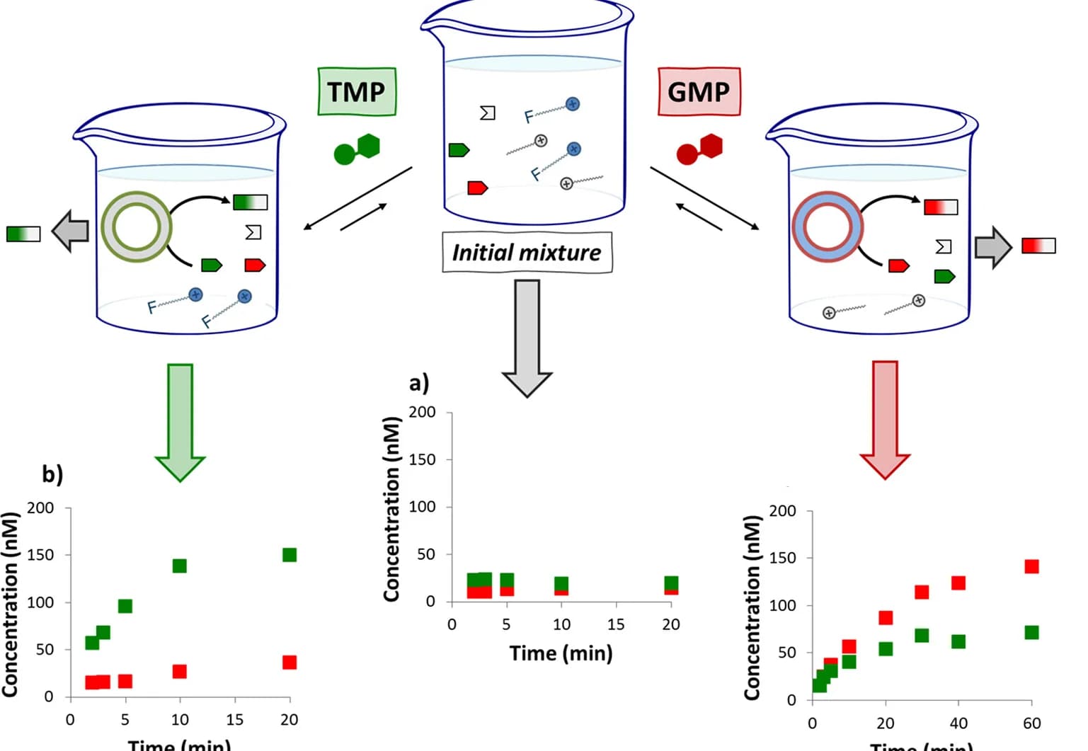 Open access visualization of Line Plot, GMP, HPLC