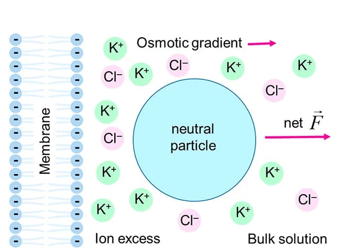 Open access visualization of Illustration, Ion Density, Charged Membrane, Osmotic Pressure, Electric Double Layer