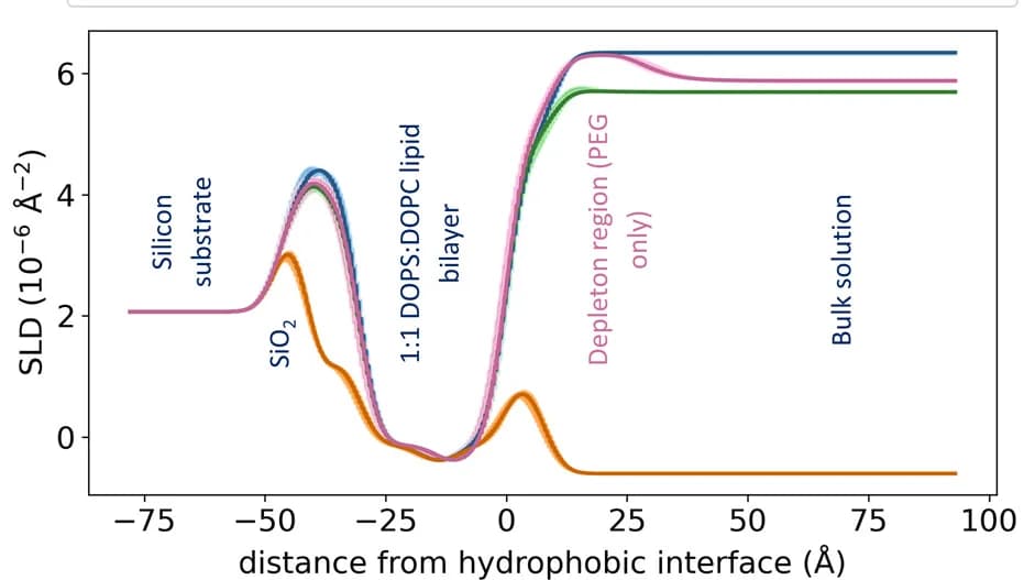 Open access visualization of Line Plot, Neutron Scattering Length Density, nSLD Profiles, Confidence Intervals