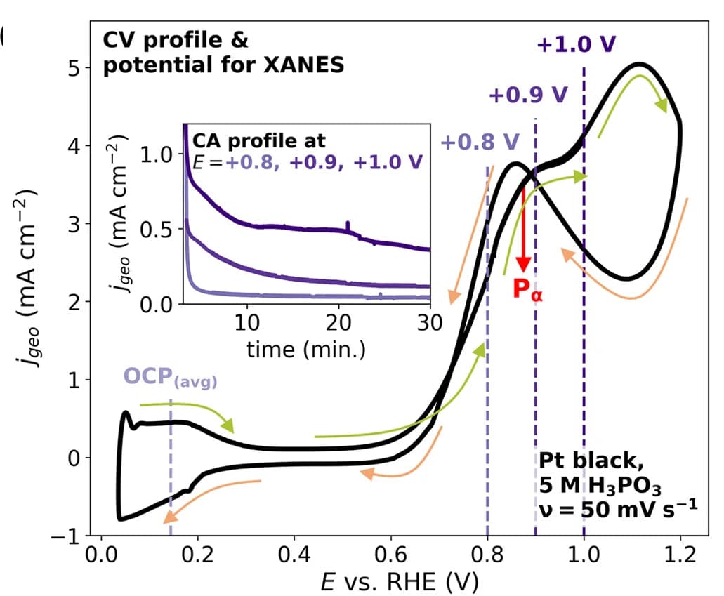 Open access visualization of Line Plot, Line Step, CV, Pt Black Electrode, H3PO3 Electrolyte