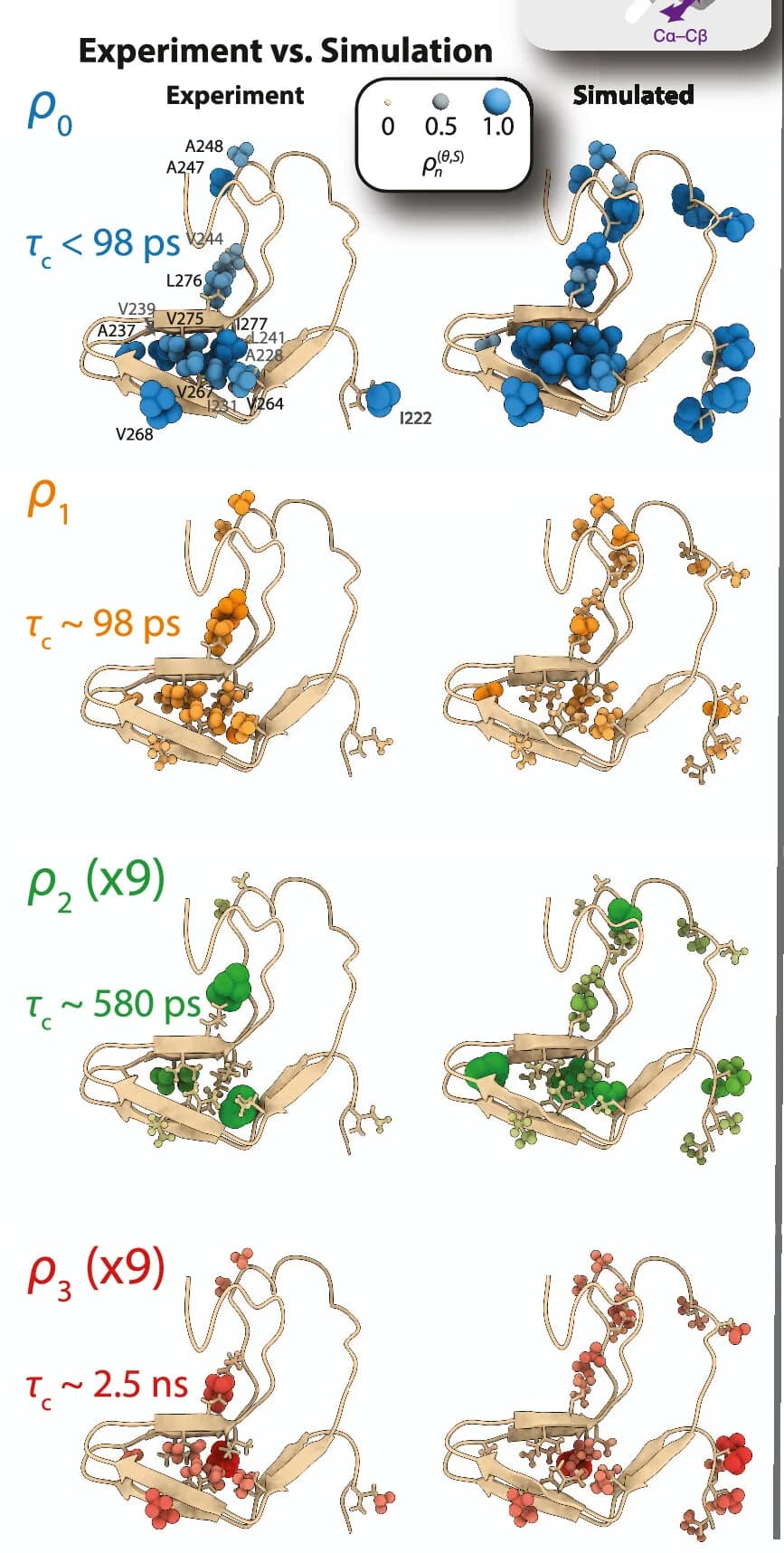 Open access visualization of Protein Structure, Scatter Plot, Bubble Plot, Experimental Data, Simulated Data