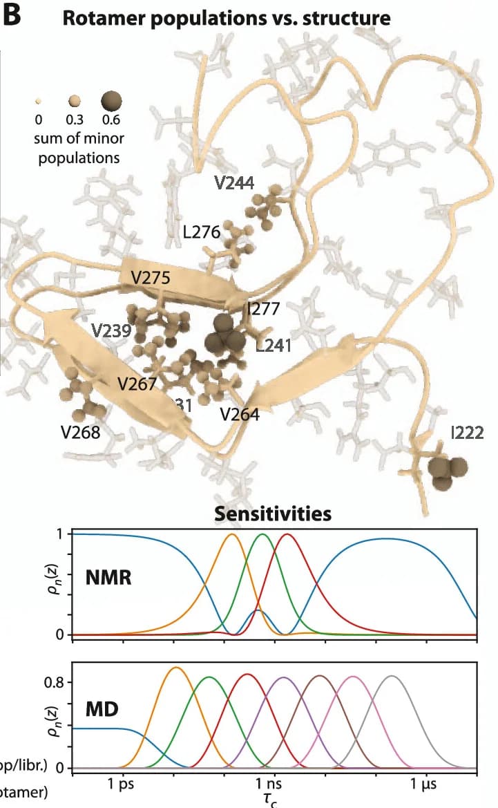 Open access visualization of Protein Structure, Line Plot, Detector Responses, HET-s(218-289), Methyl Hopping