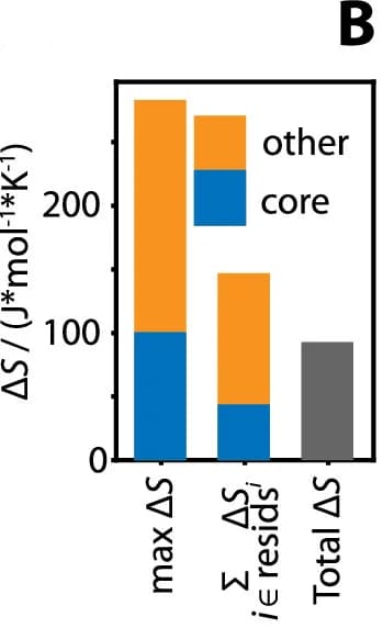 Open access visualization of Bar Plot, Stacked Bar Plot, Entropy, Rotamers, Side Chains