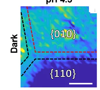 Open access visualization of Heatmap, Force Gradient, BiVO4 Surface, Dark Conditions, Illumination Conditions