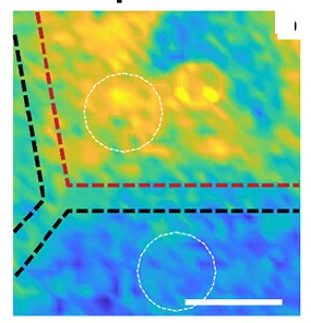 Open access visualization of Heatmap, Force Gradient, BiVO4 Surface, Dark Conditions, Illumination Conditions