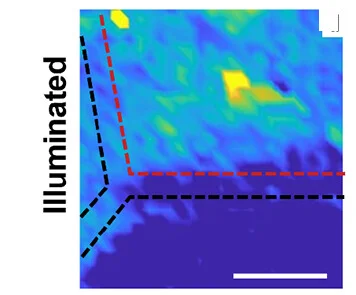 Open access visualization of Heatmap, Force Gradient, BiVO4 Surface, Dark Conditions, Illumination Conditions