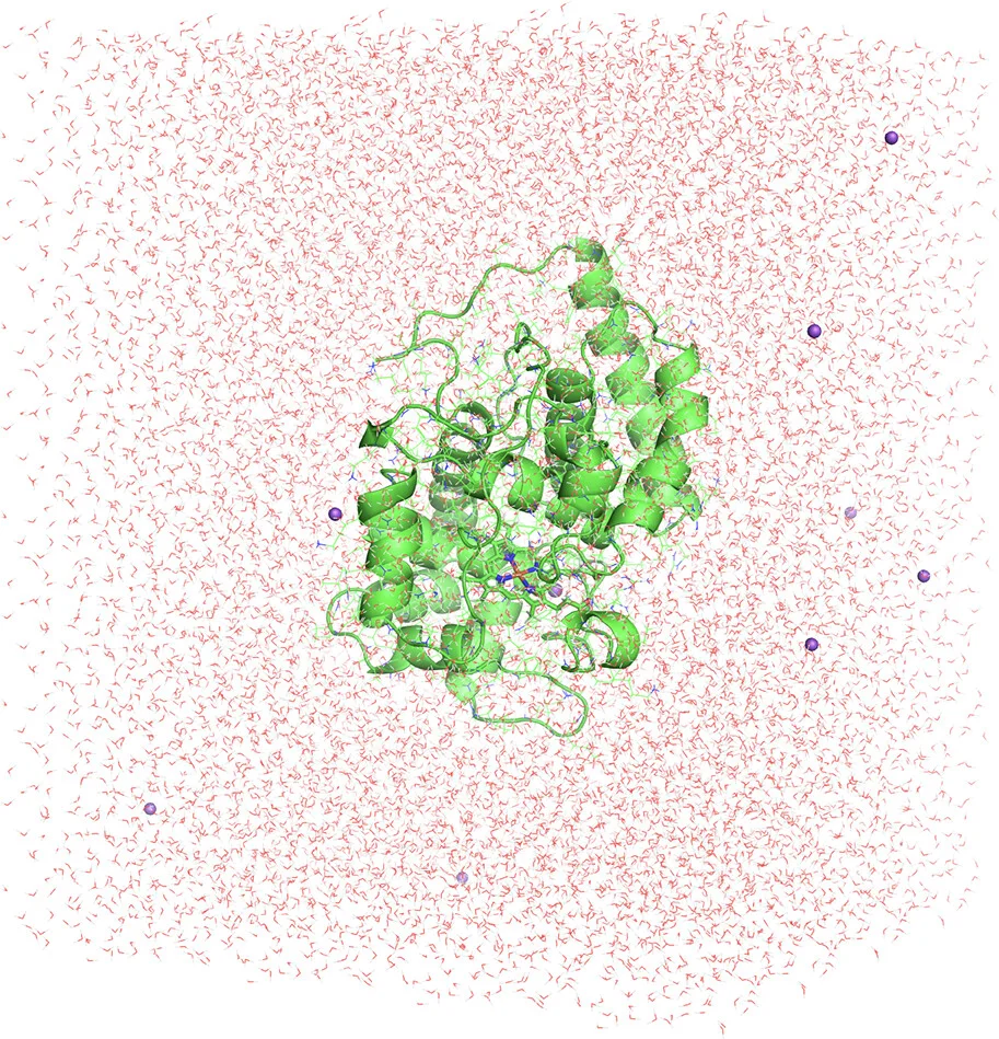 Open access visualization of Protein Structure, Chemical Structure, Ascorbate Peroxidase Model, Water Box, Sodium Counterions