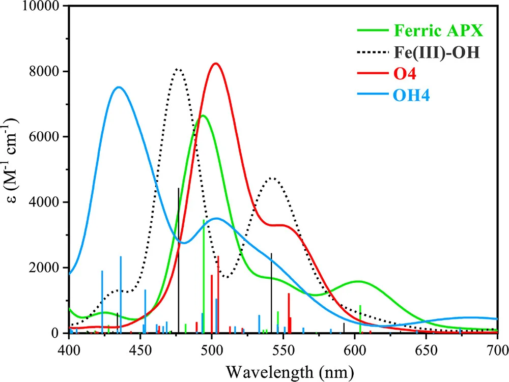 Open access visualization of Line Plot, Line Step, Absorption Spectra, TD-DFT Calculations, Ferric APX