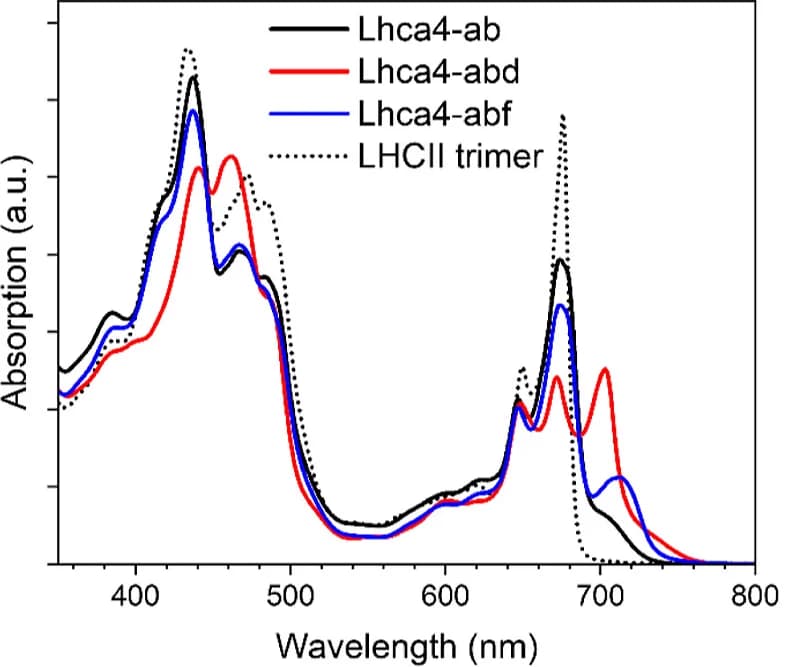 Open access visualization of Line Plot, Density Plot, Absorption Spectra, Emission Spectra, Lhca4 Complexes