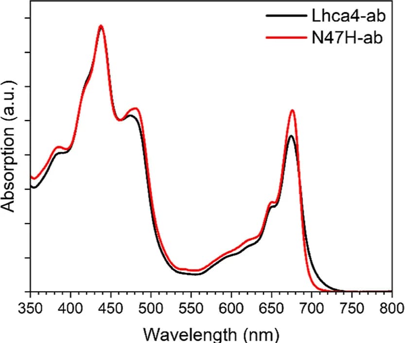 Open access visualization of Line Plot, RT Absorption Spectra, Lhca4 Complex, N47H Complex